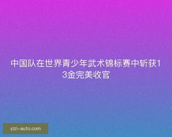 中国队在世界青少年武术锦标赛中斩获13金完美收官