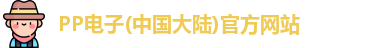 PP电子